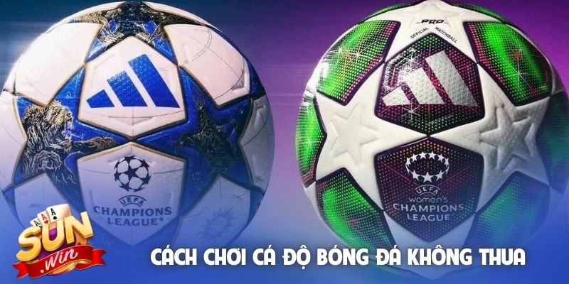 Cách chơi cá độ bóng đá không thua